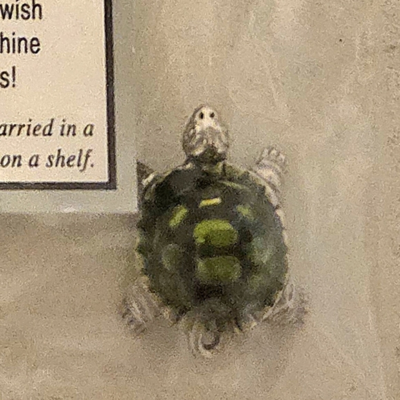 GANZ Green and Gray Turtle Ornament - Picture 1 of 5